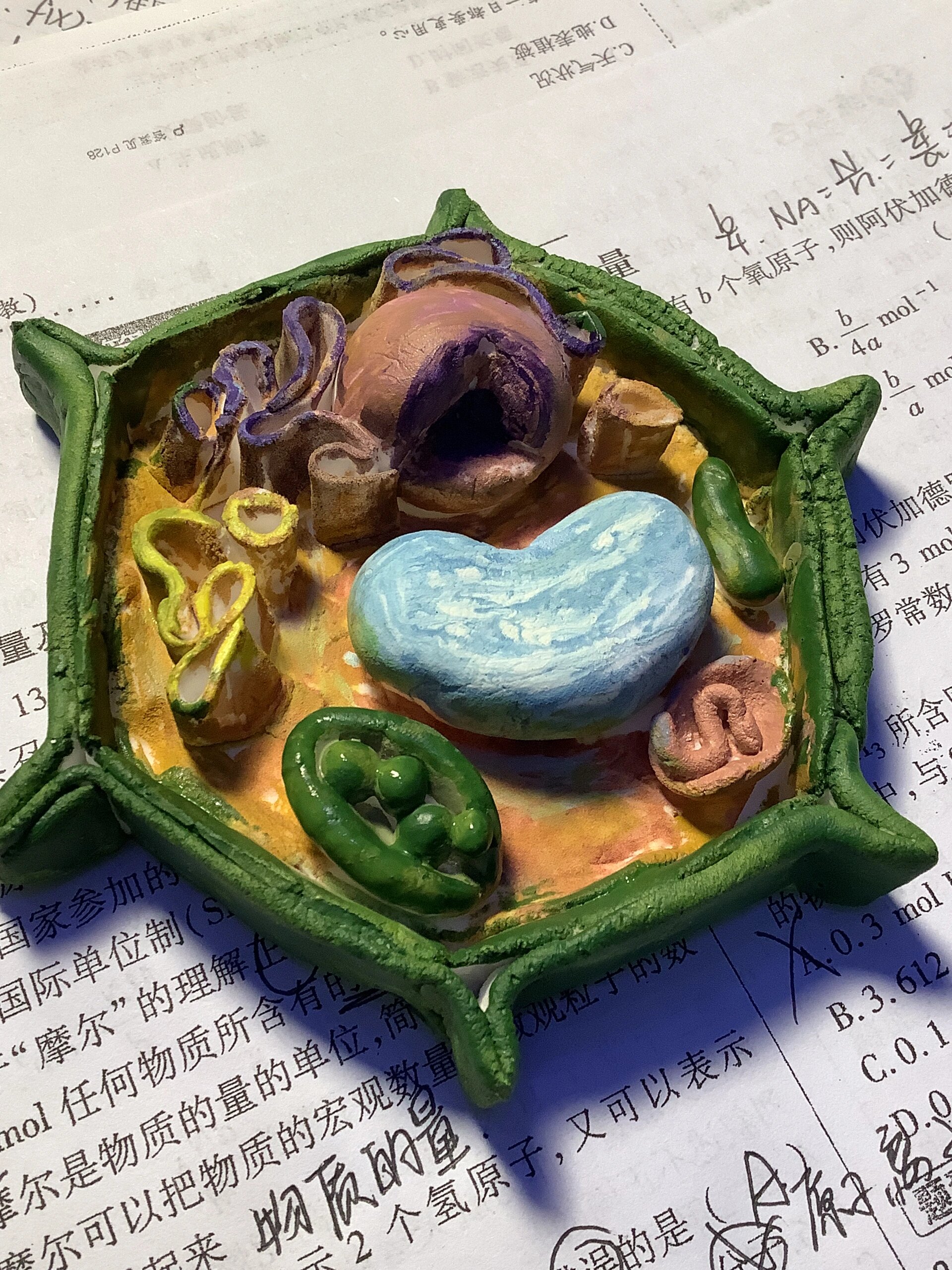 细胞模型,细胞模型制作 细胞模型,细胞模型制作