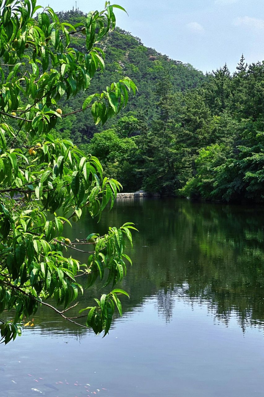烟台昆嵛山真的是周末放松休闲的好去处 昆嵛山无染寺 水好清 还很