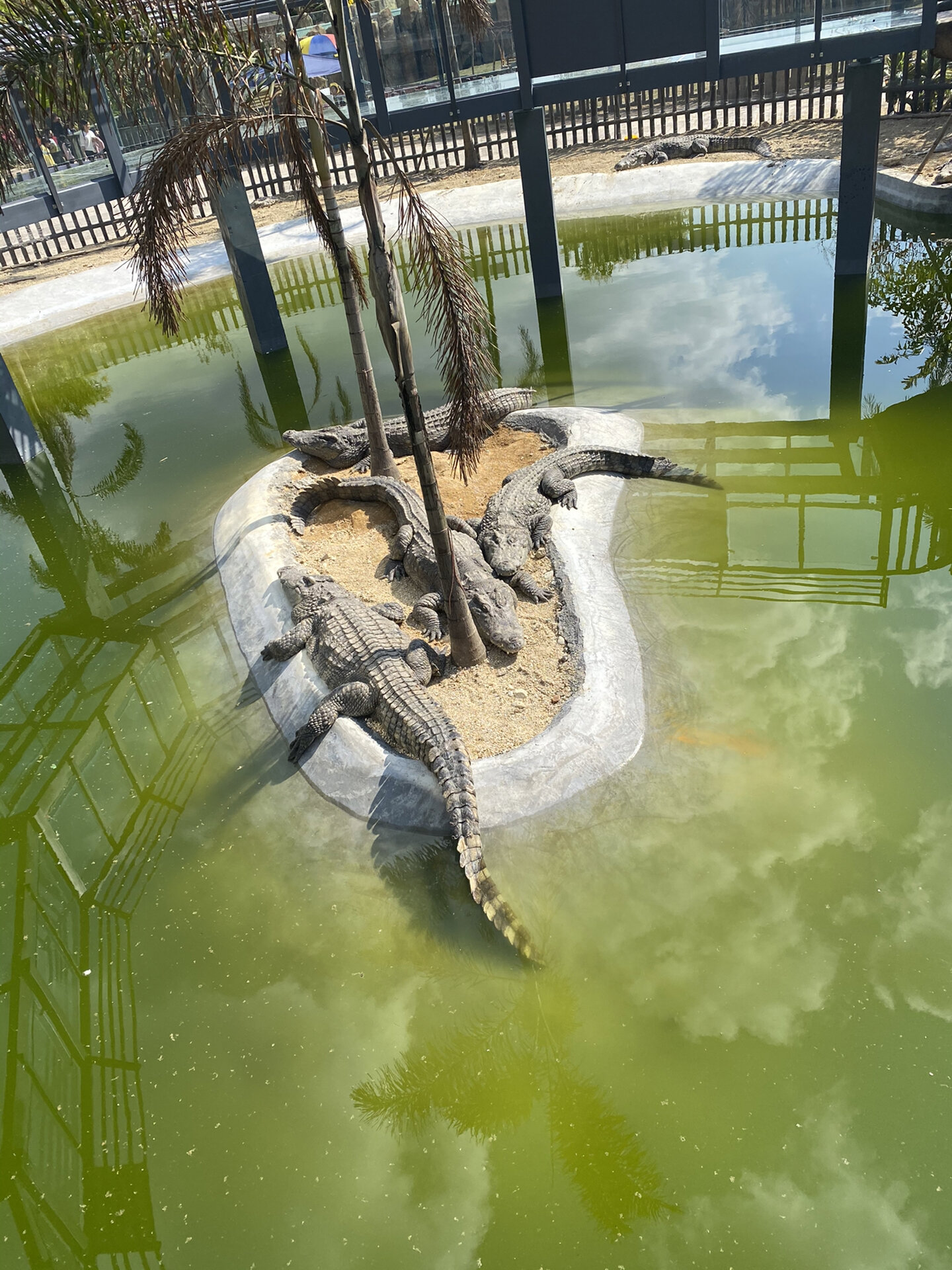 广东省望天湖旅游度假区|揭阳·普宁99 很适合一家人出去旅旅游92