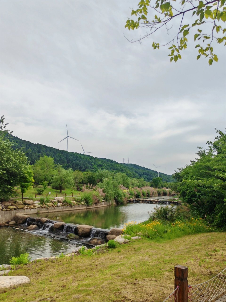 67庐山鄱湖湾,多彩体验 乘坐小火车缓缓启动 花海中缤纷绽放 彩虹