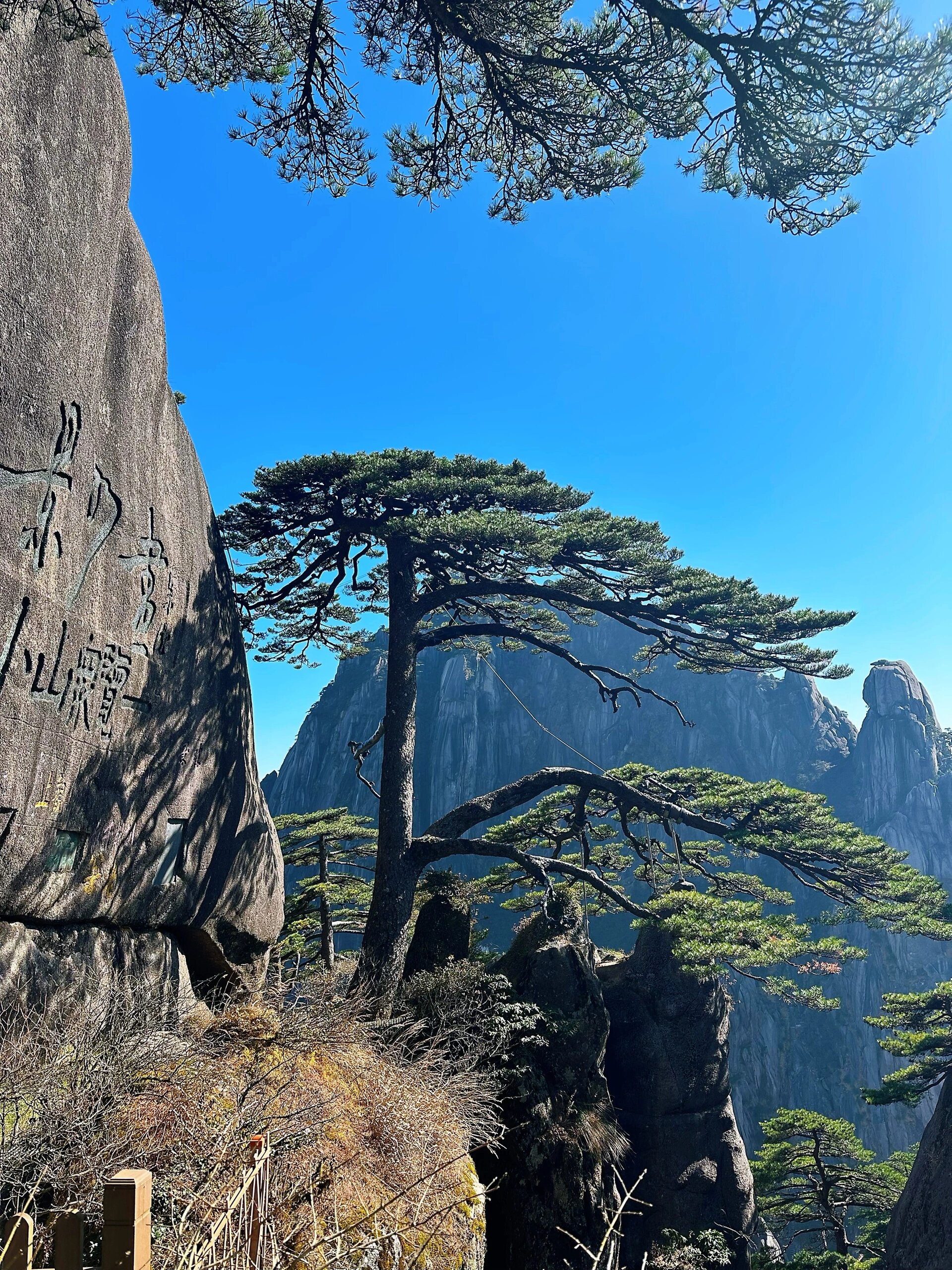 5元人民币上的图案不是黄山迎客松