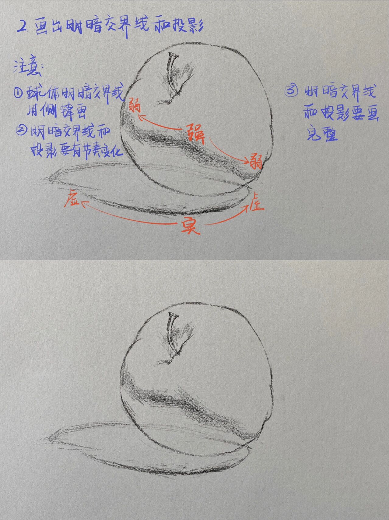 全网最详细 || 素描苹果教程6015