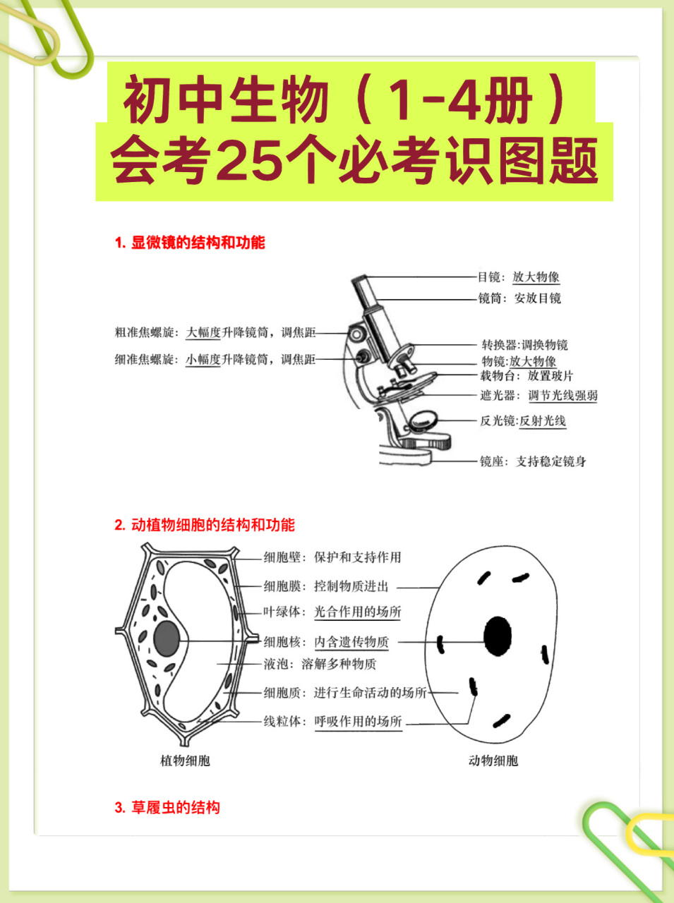 生物中考必考图题图片