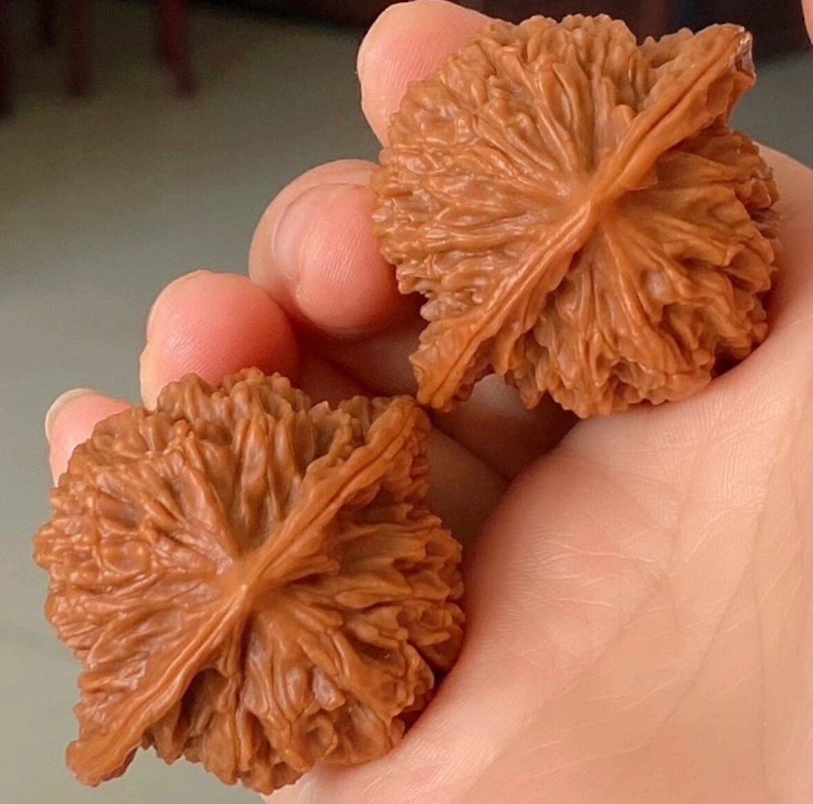 蟠龙纹狮子头!绝对的爆肉!