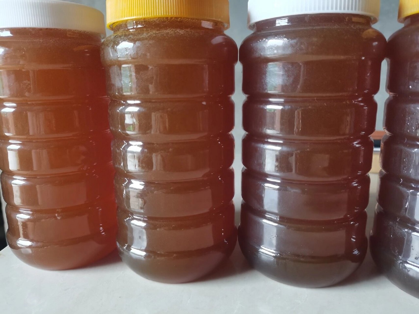 云南西双版纳马叉蜂蜂蜜 正宗的云南西双版纳马叉蜂蜂蜜,野生蜂蜜