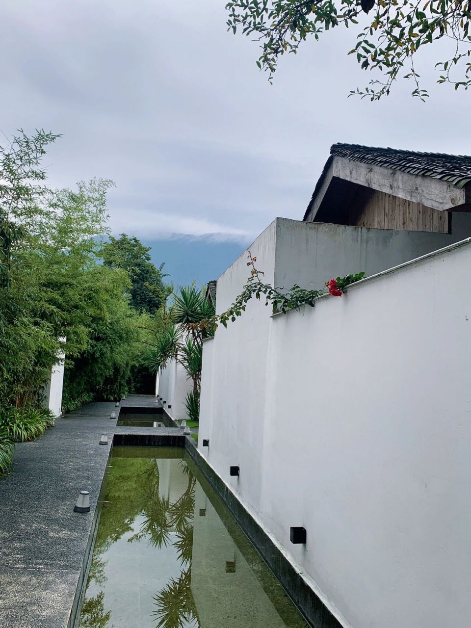 仅40分钟的温泉民宿♨️体验感拉满 被朋友种草终于去了浮水栖居!