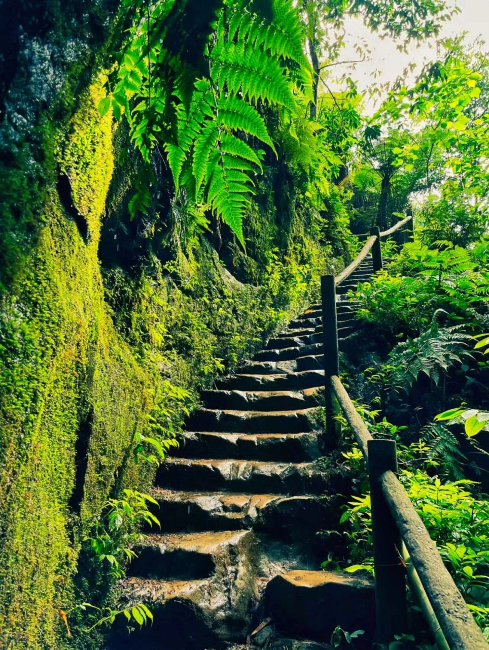 桫椤峡谷98 徒步 就是陪自己好好走段路 目的地:乐山桫椤峡谷99 7