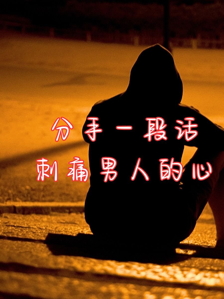 曾经的承诺,如今只是风中的叹息. 爱过,痛过,终于懂得放手