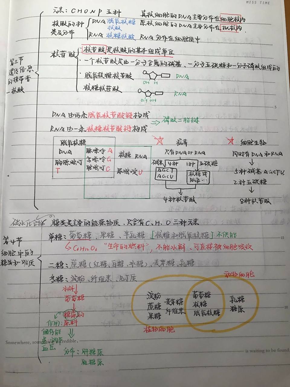 生物必修一第二章思维导图0707 写作业719915719915