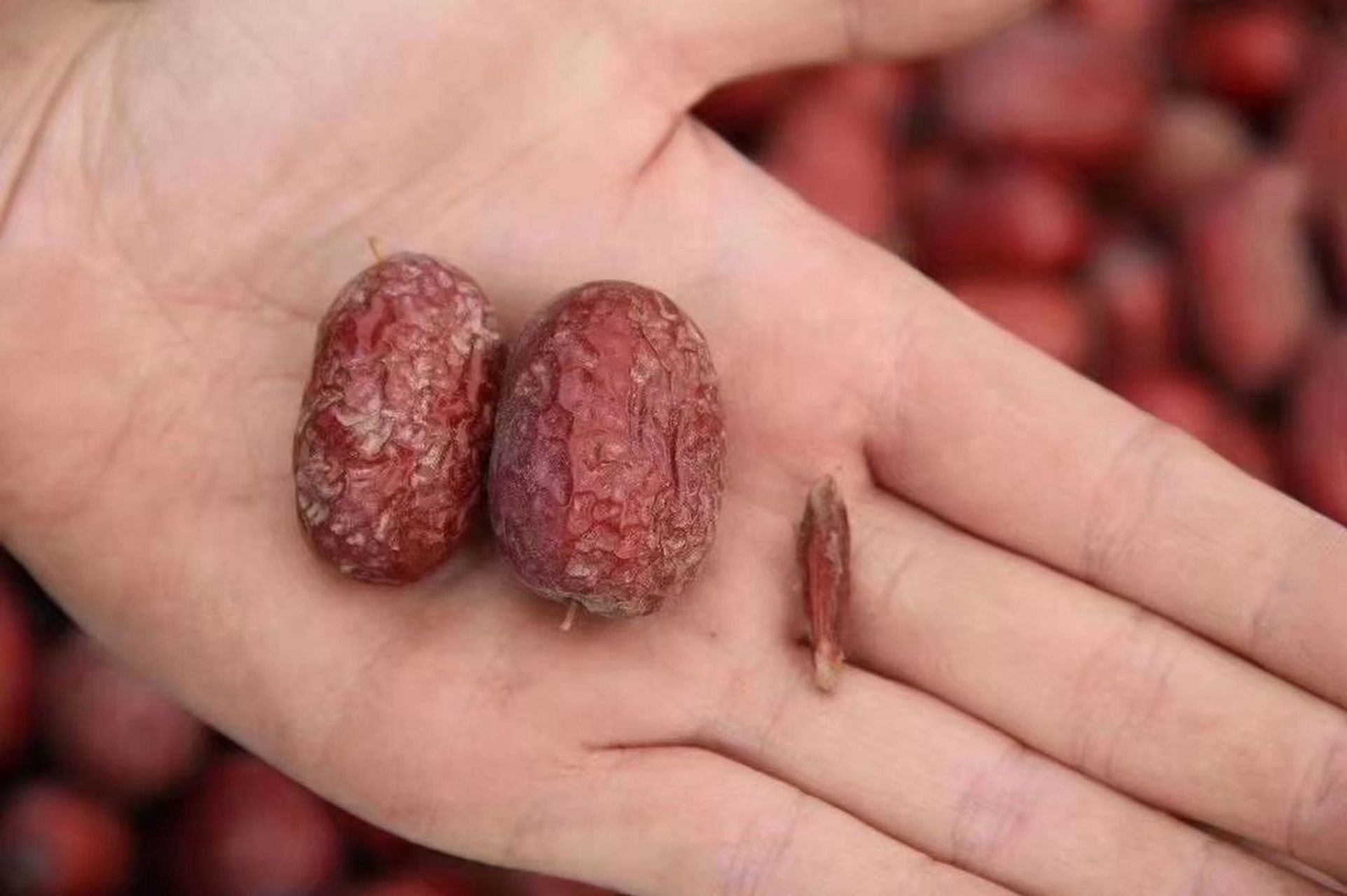 这是红枣发霉了吗? 若羌灰枣也称若羌香枣,还称楼兰枣,楼兰红枣.