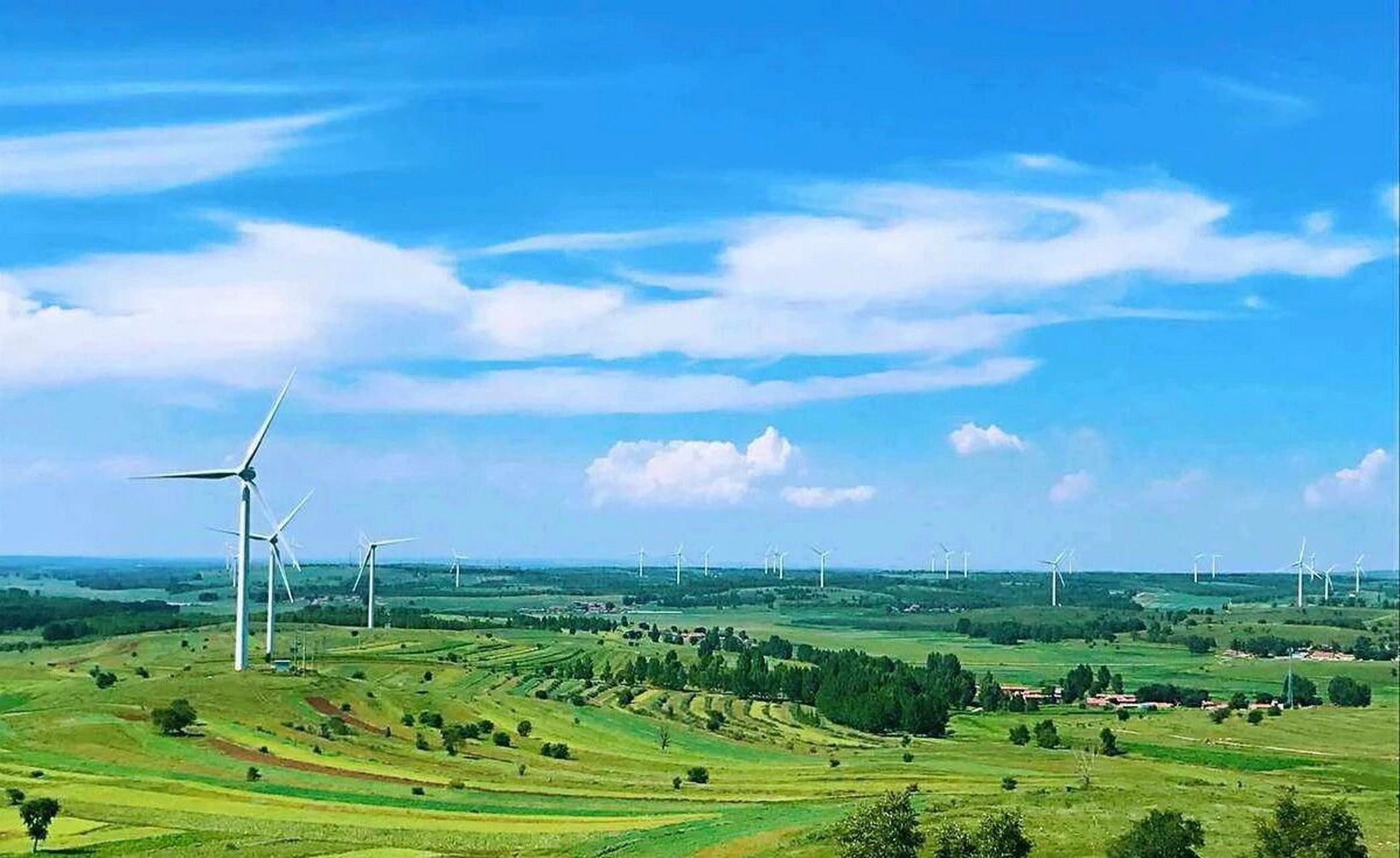 云花清秀,野芳琼香 	 张北草原天路位于河北省境内 是连接崇礼县塞外