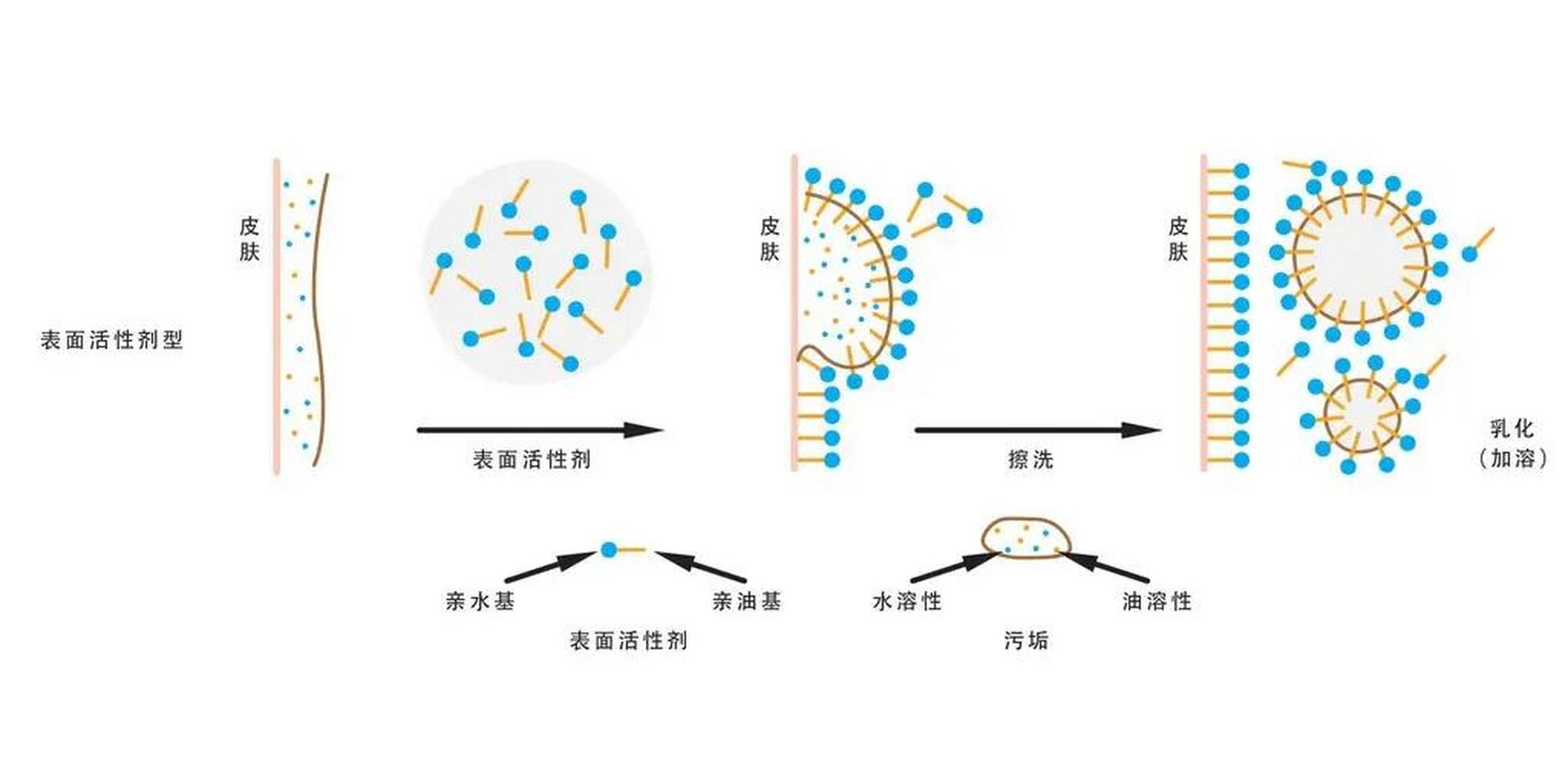 表面活性剂示意图图片