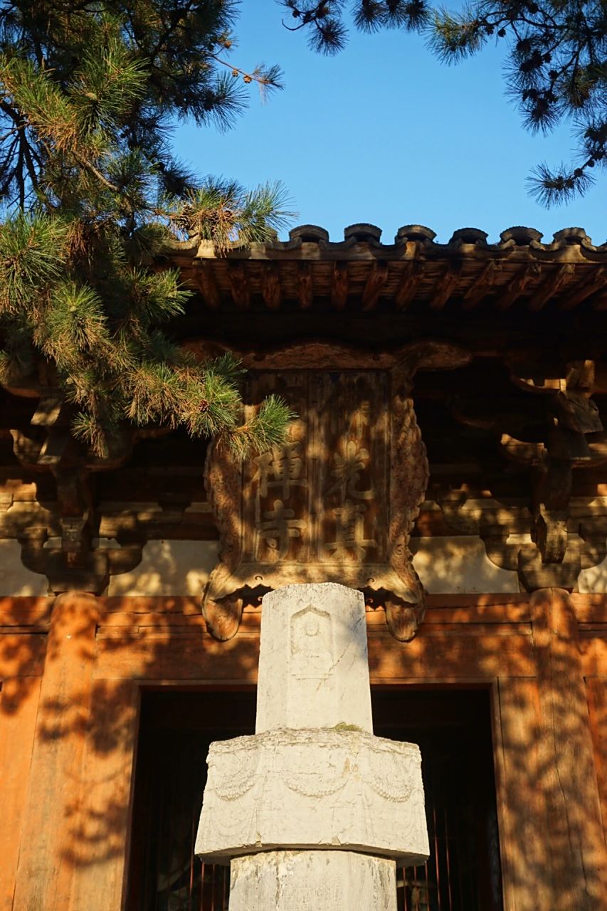 佛光寺|沉浸式欣赏中华第一国宝唐代东大殿 75地点:五台山佛光寺