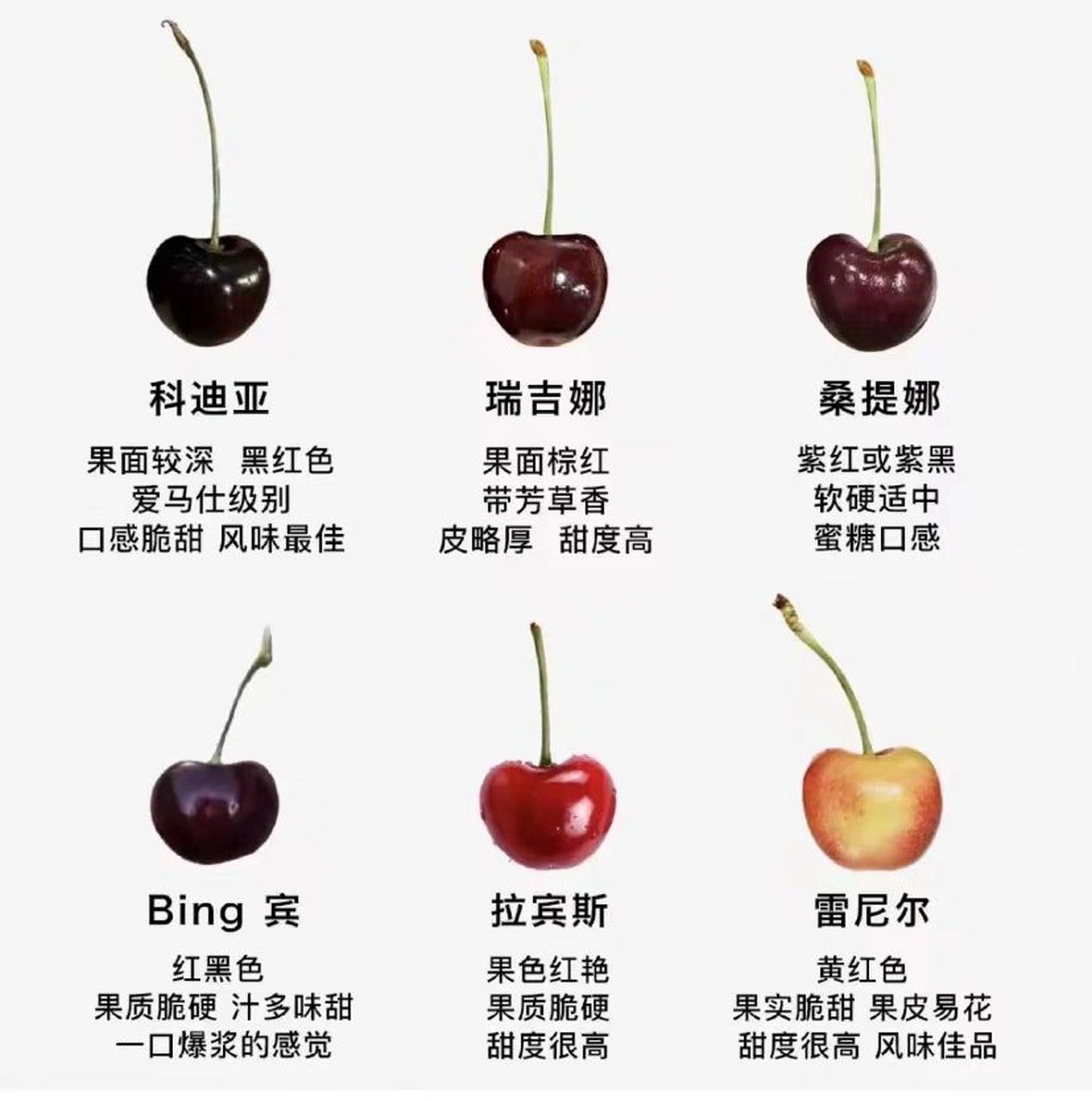 算是懂了一点点也在不断的学习中,车厘子种类目前我接触到的有桑提娜