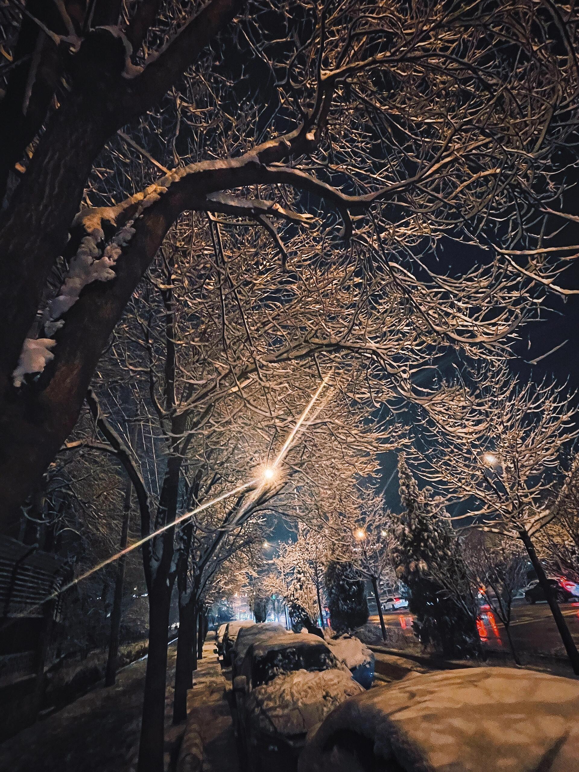 下雪夜景 大街图片