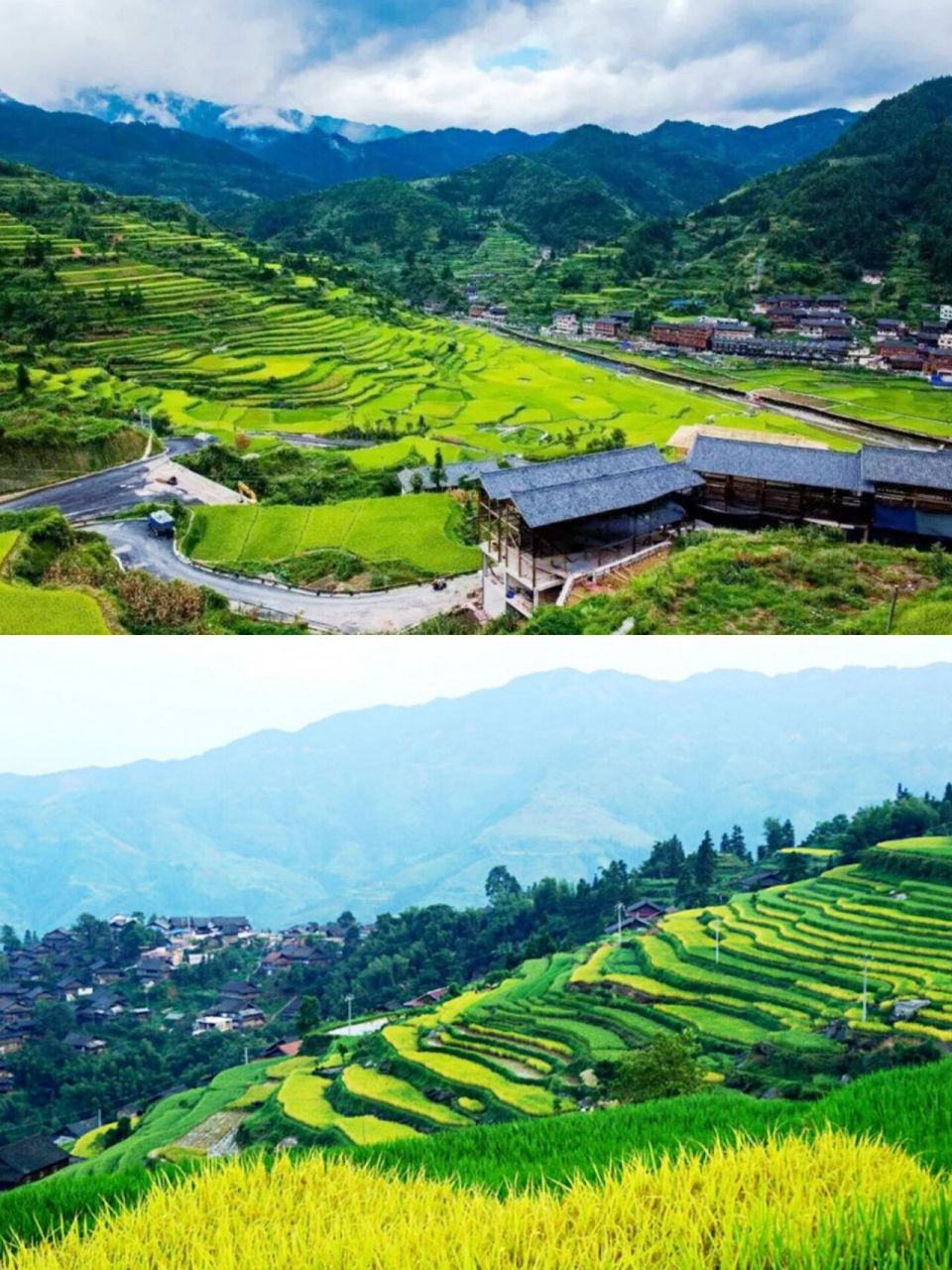 西江苗寨梯田|免费打卡73 &不容错过稻田风光 免费打卡西江千户苗寨