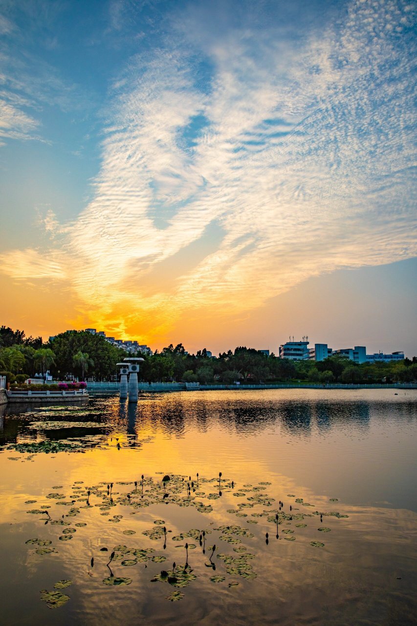 家门口的风景|杏林日东公园的秋冬晚霞 探索笔记: 	 ◎看到分享的日东