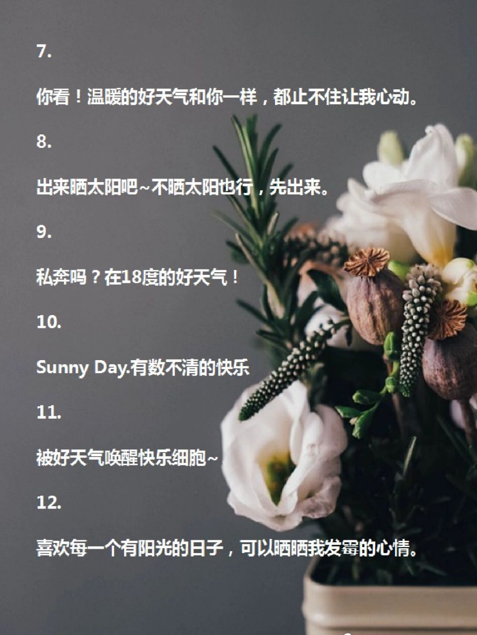 分享好天气/好心情/蓝天白云的朋友圈短文案 1.