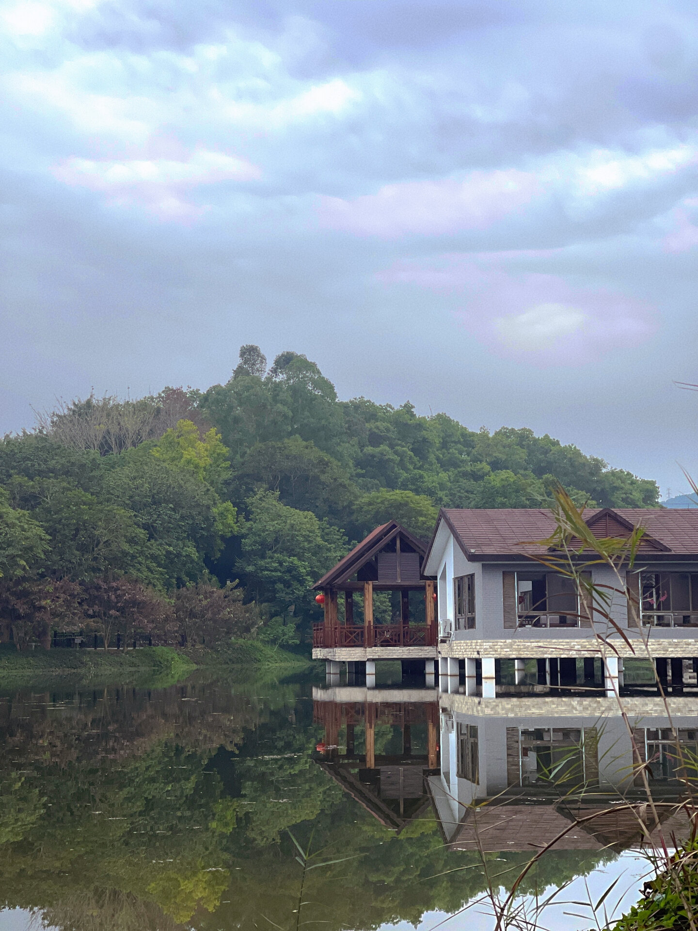 潮州饶平绿岛山庄 冬天里的一抹秋 这里拍照很出片 依山傍水 负离子