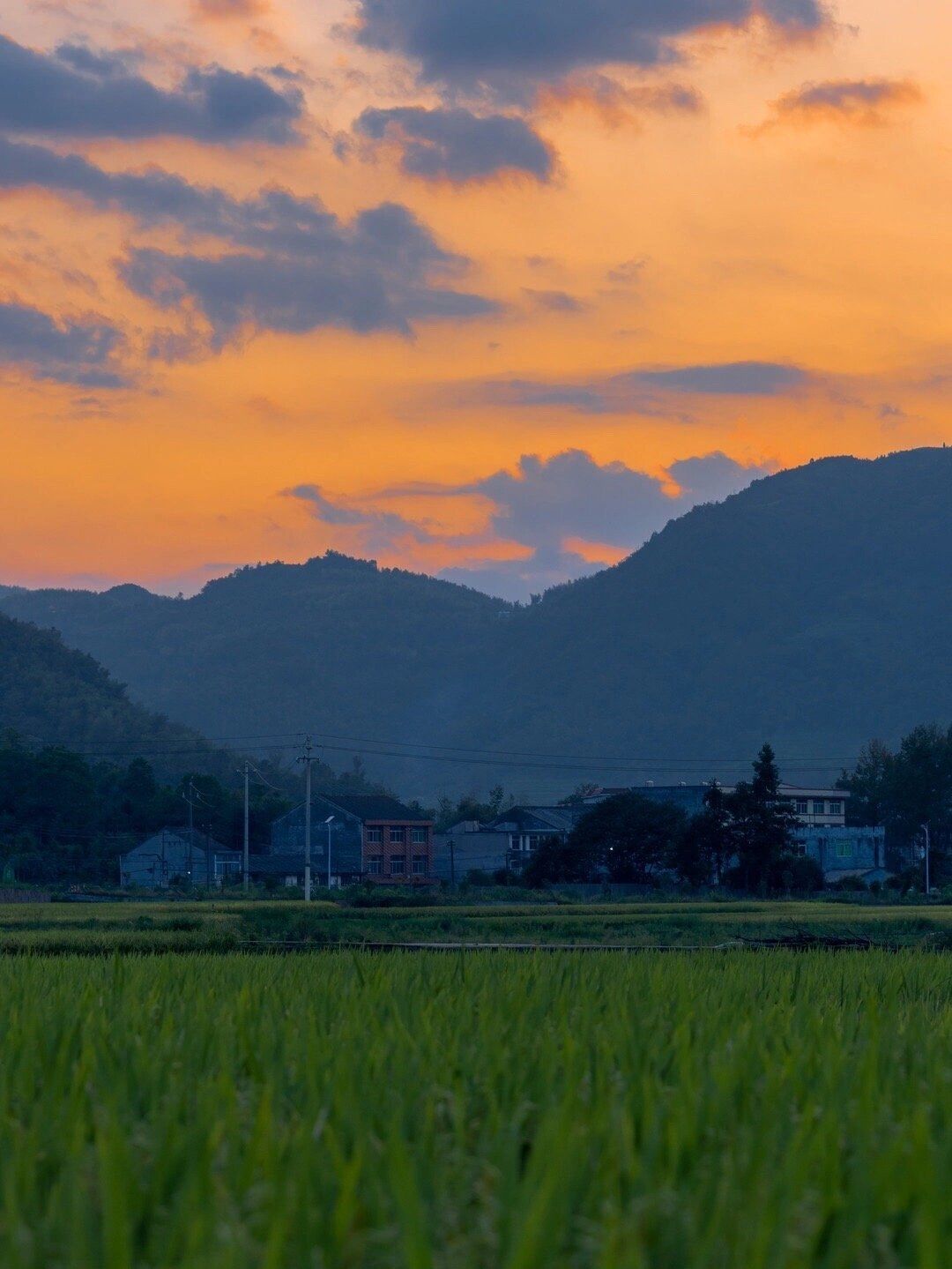 朋友圈背景