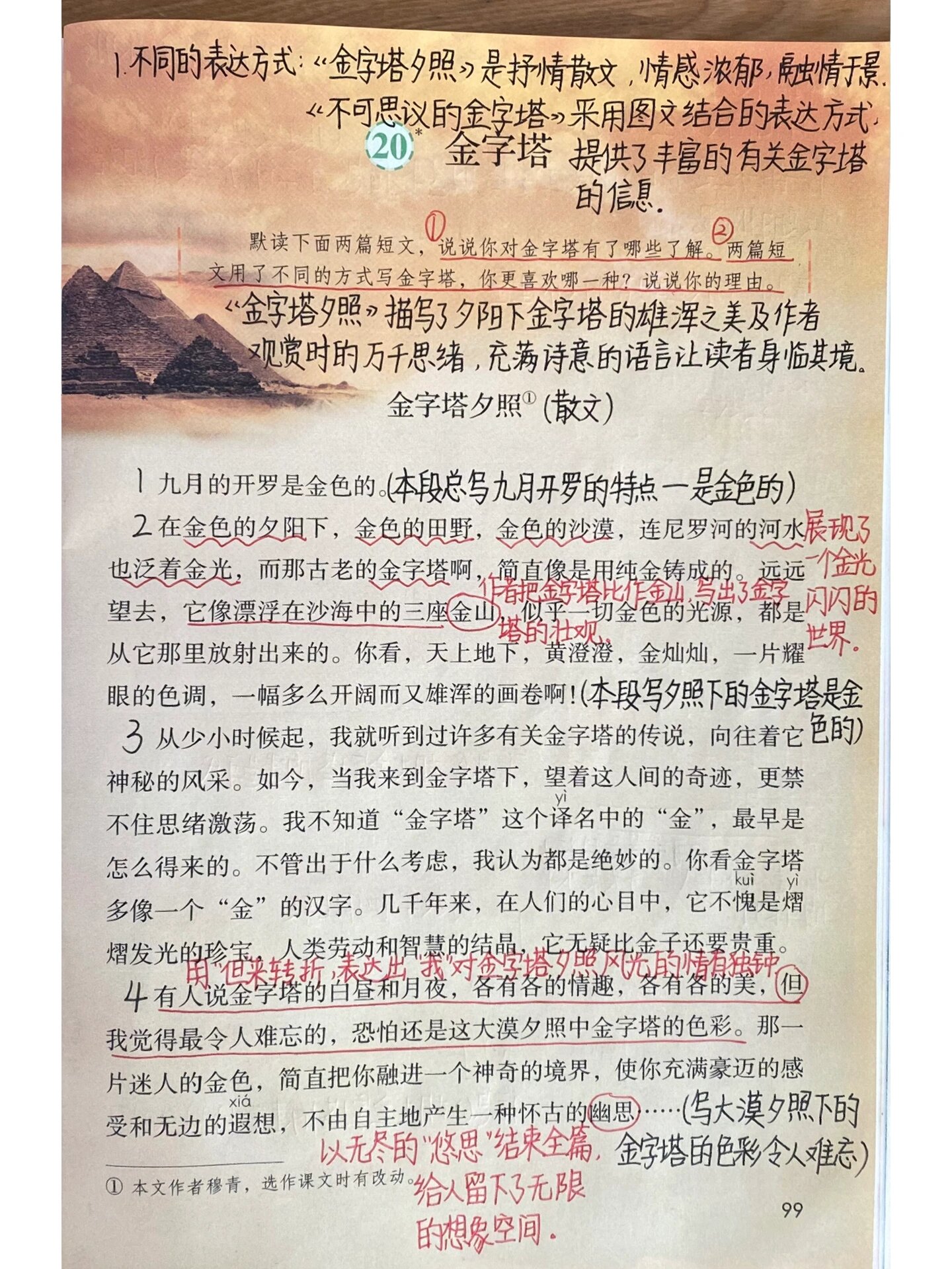 20金字塔课堂笔记图片