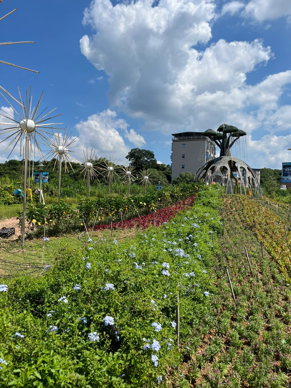99惠州丹凤谷 国潮灯光秀,艺术花境展,草莓熊营地,篝火晚会,烟花秀