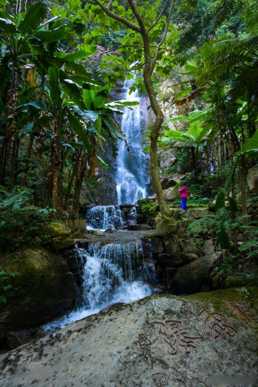腾冲樱花谷坐落于高黎贡山西麓,龙川江西岸,属高黎贡山自然保护区范围