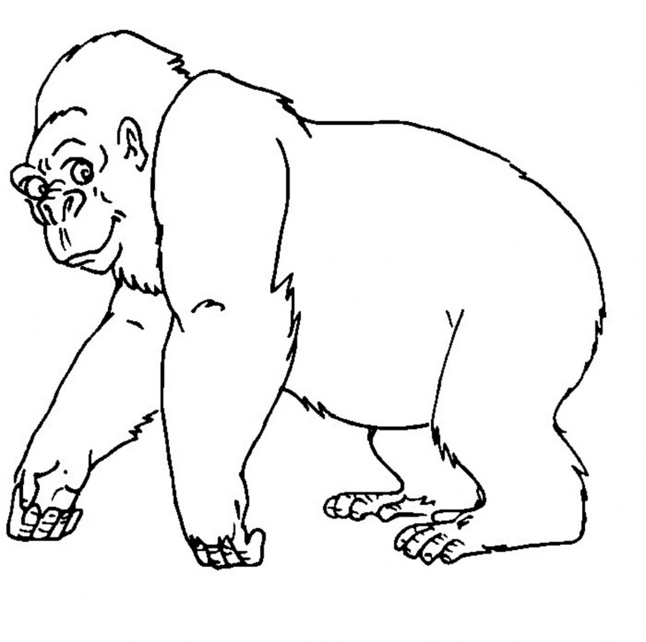 大猩猩金刚手绘图片