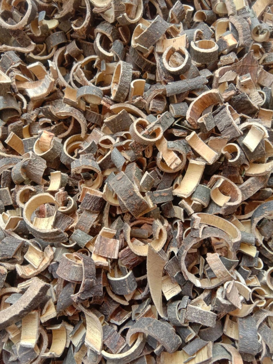 每天认识一种中草药91/合欢皮 功效与作用737373 解郁,和血