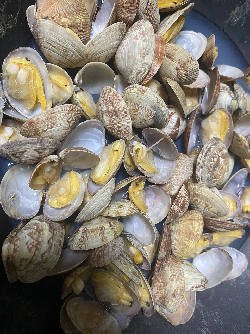 辣炒沙甲快来试试吧～  快手家常菜 让你在家也能享受大排档的美味