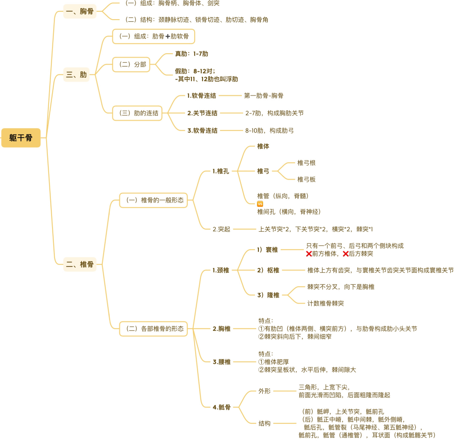 骨学的知识框架图图片