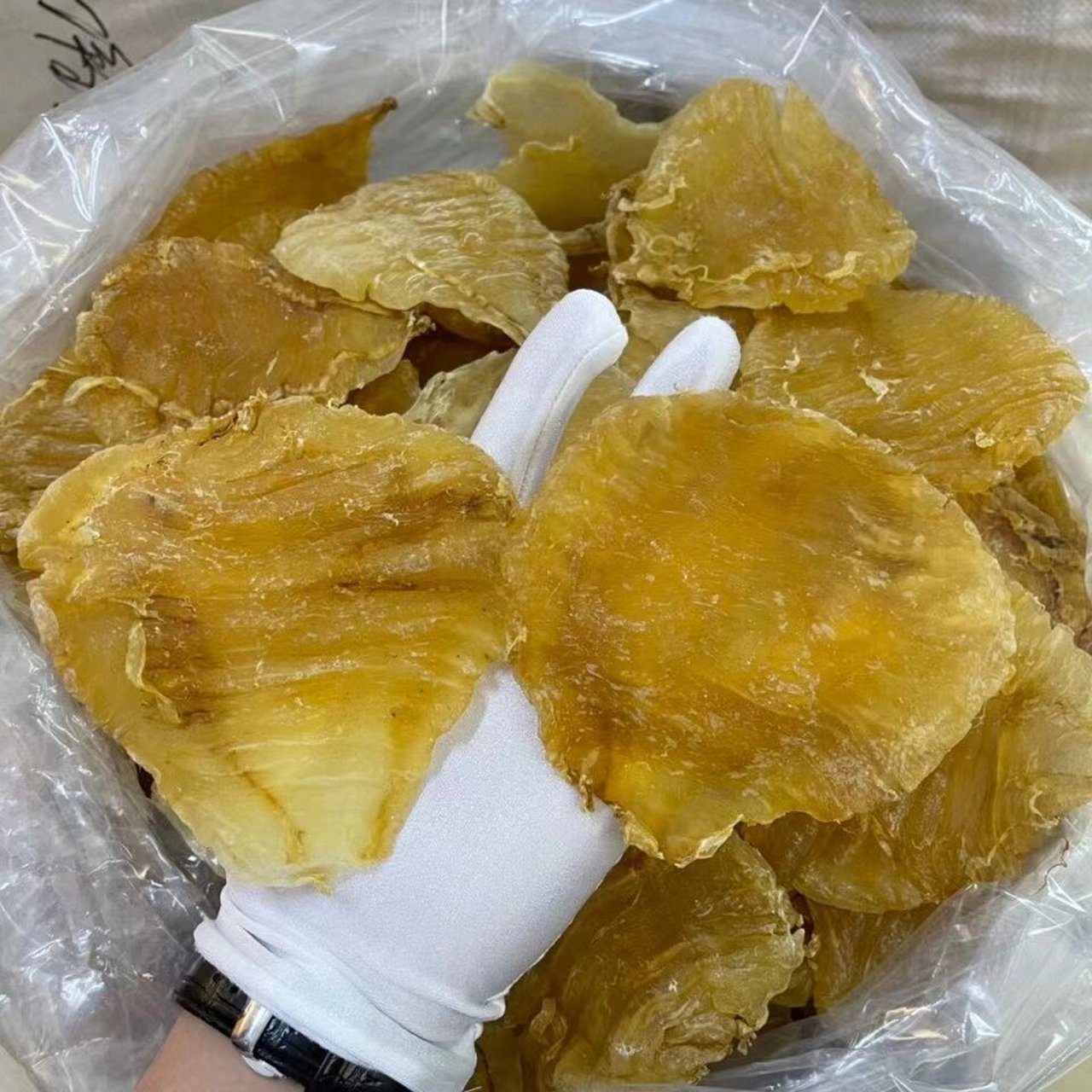 芽鳘鱼胶7-8头 足干年份老货,吃老胶一斤顶三斤新胶 超级漂亮双芽鱼胶