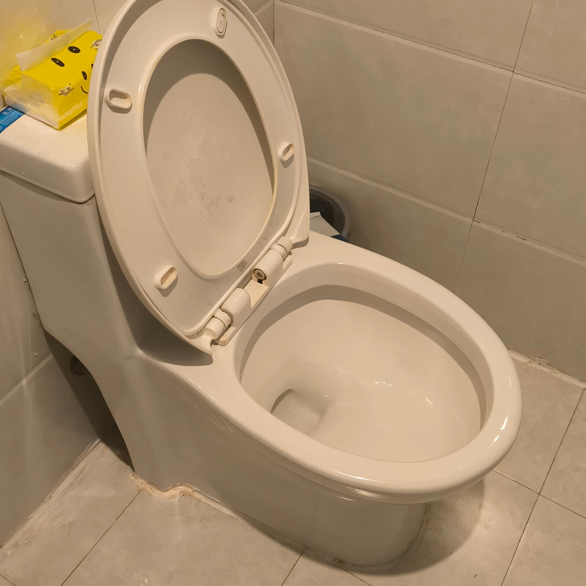 拉屎把酒店厕所拉堵了 家人们谁懂啊 在酒店拉屎,然后是马桶.