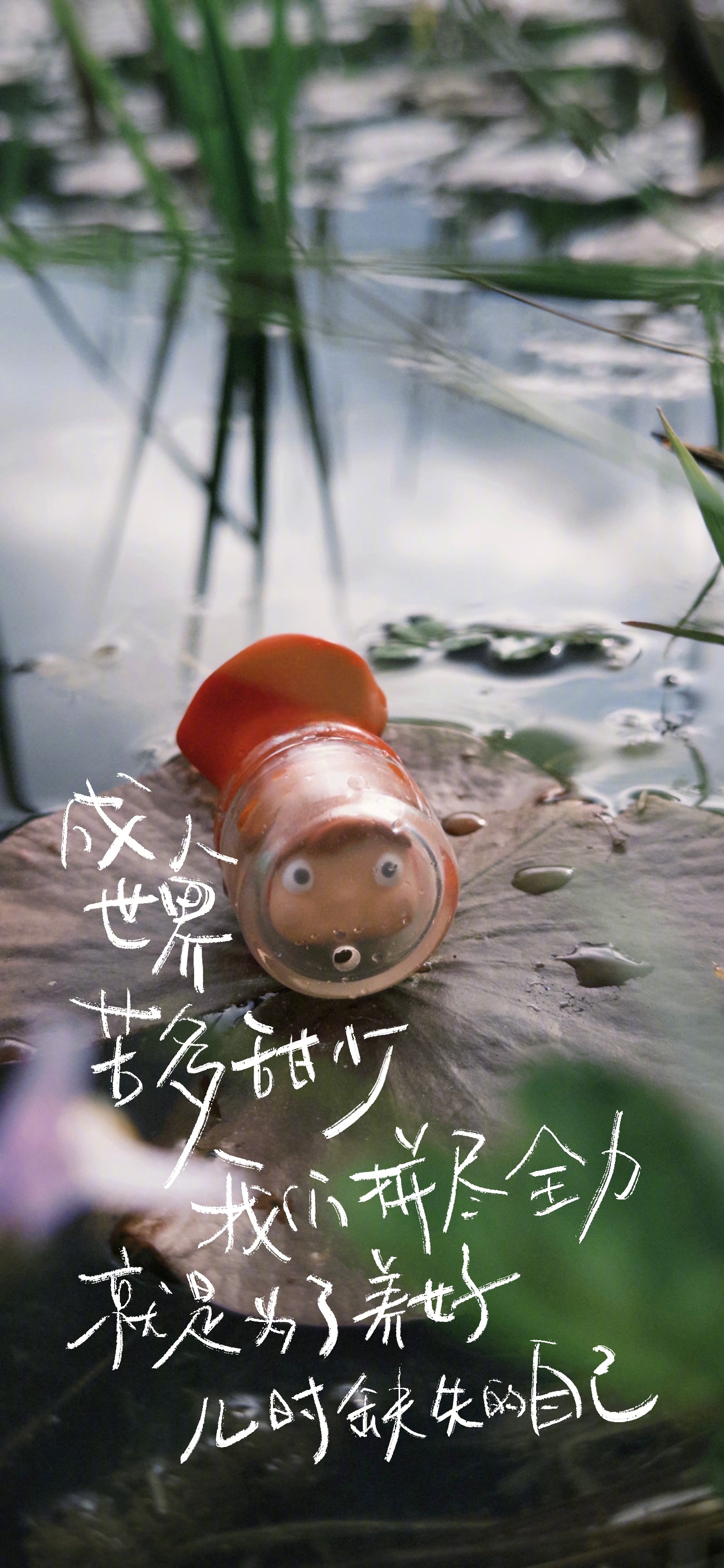 手写的春天,5月悠然.#每月开运手写字