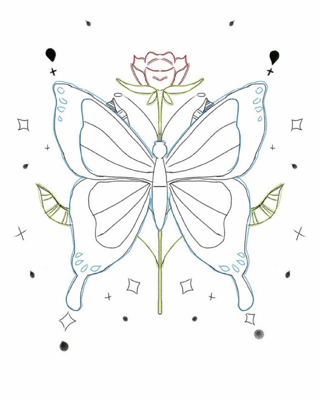 蝴蝶～轴对称图形