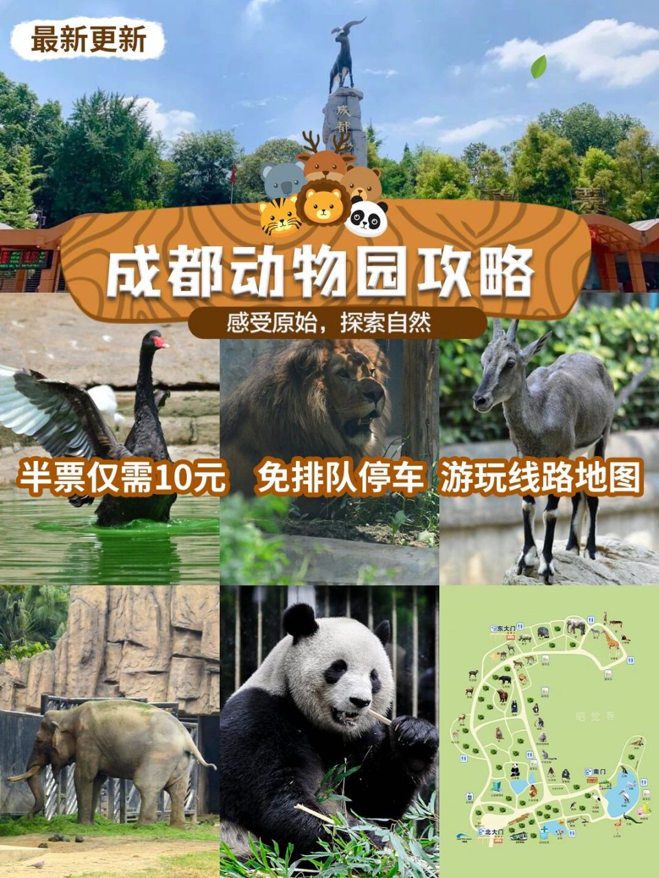 成都动物园攻略78亲子游玩首选91门票很便宜 06继上一篇94