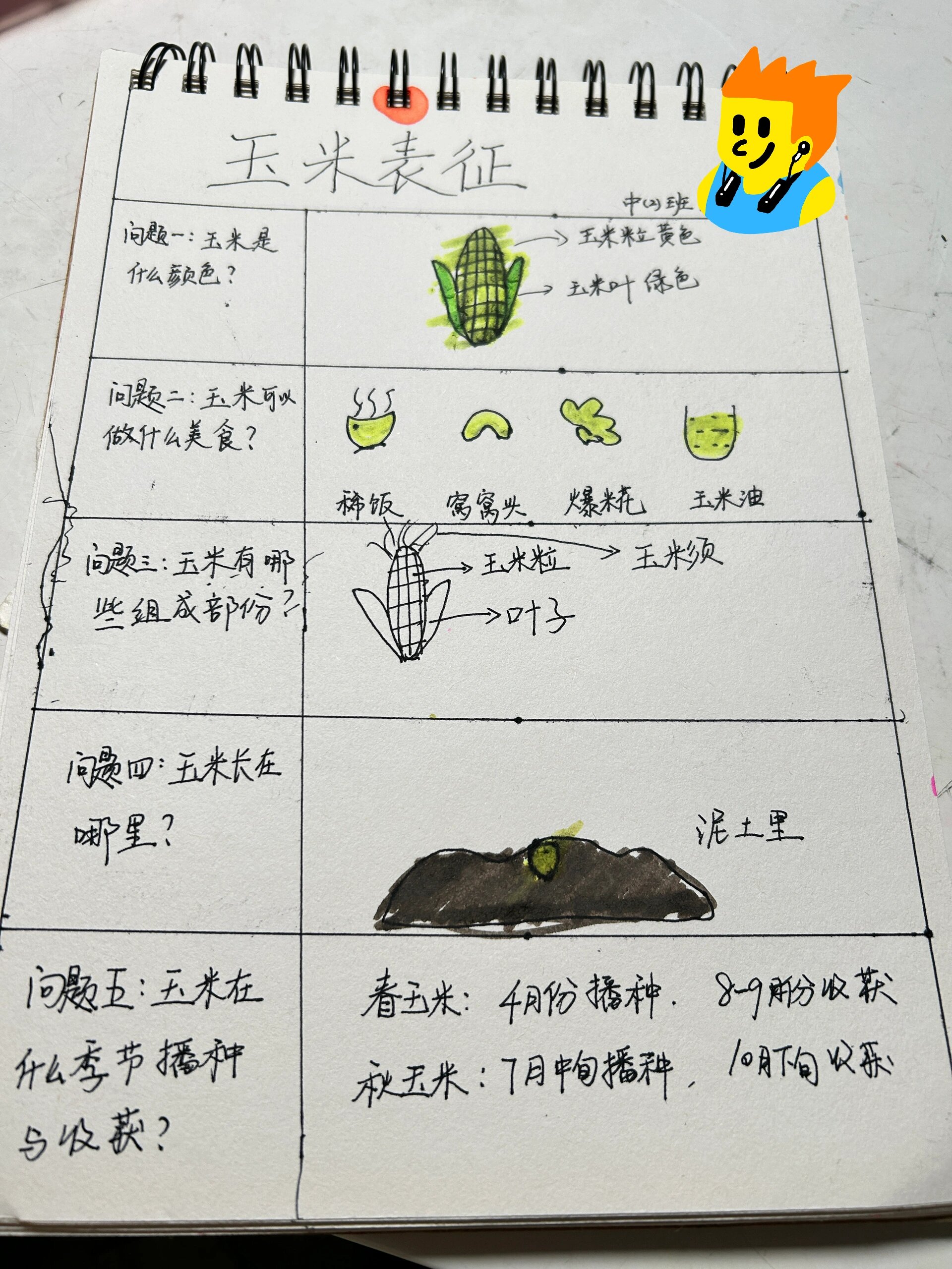 表征与表现的区别