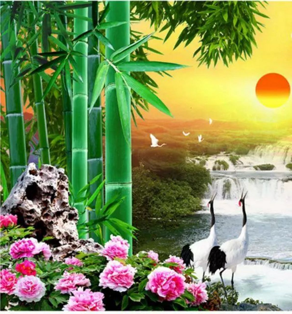 富贵竹做微信头像好不好 头像丨竹林富贵头像,招财一生!