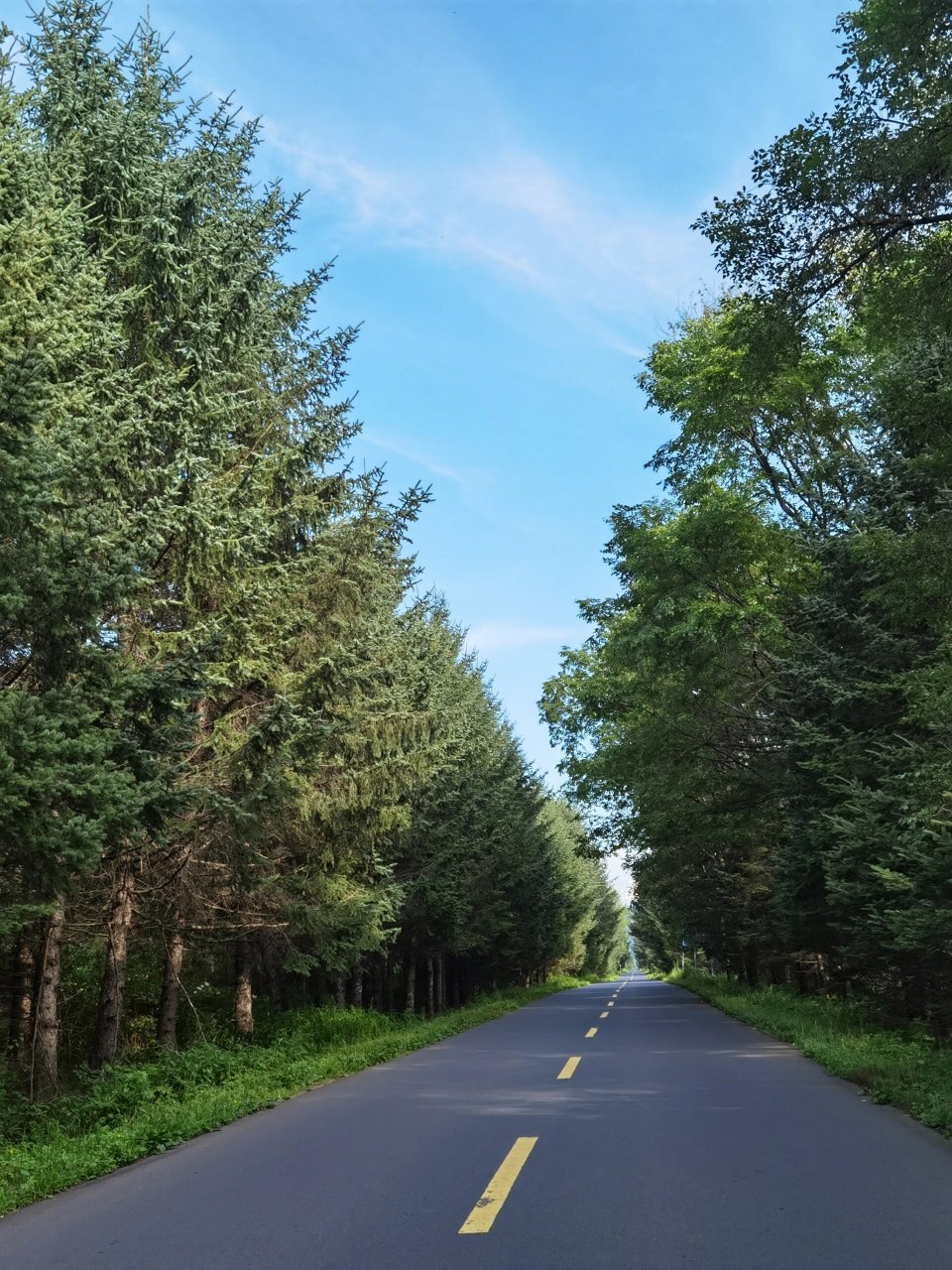 哈尔滨伊春游-day2,乌带公路 #旅游# #乌带公路# 早上睡到7点多钟