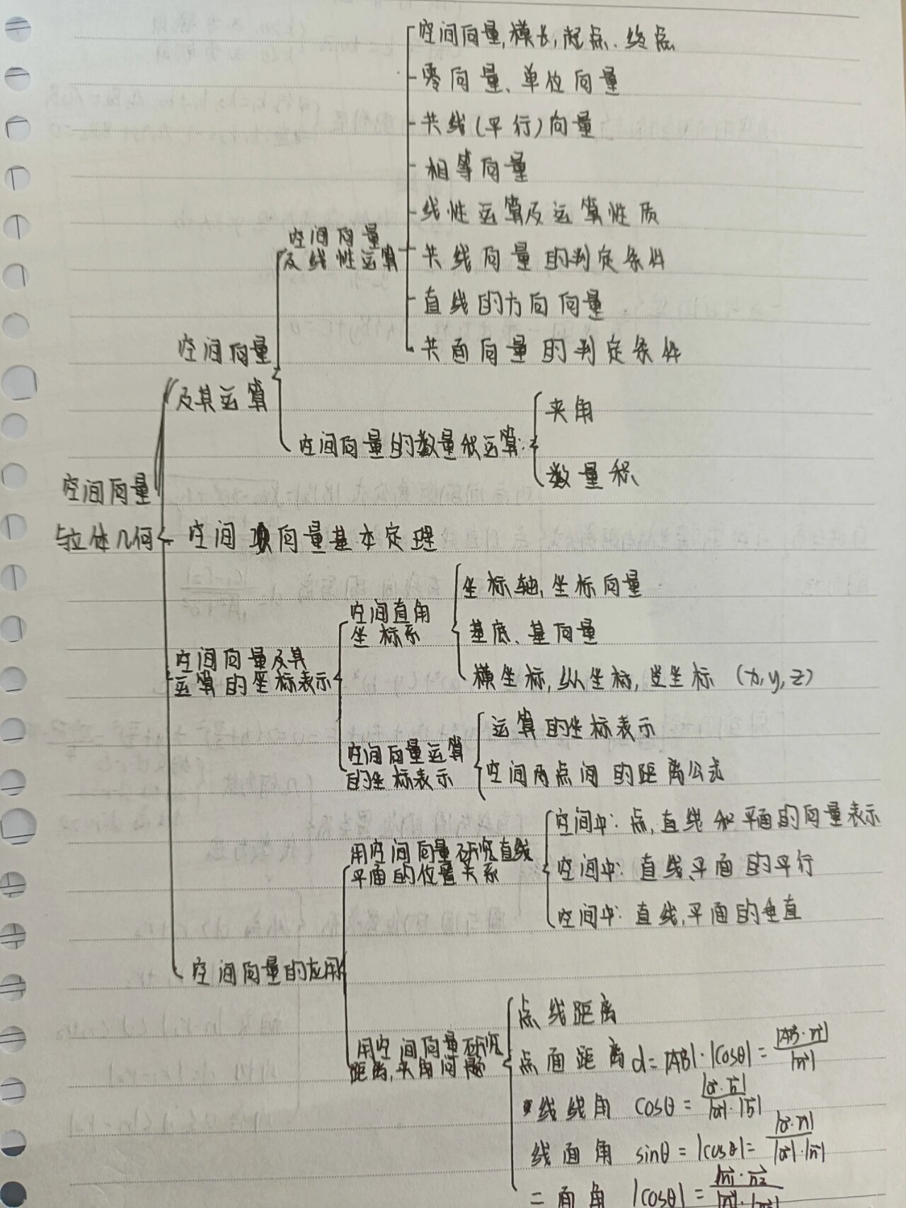 高二数学思维导图