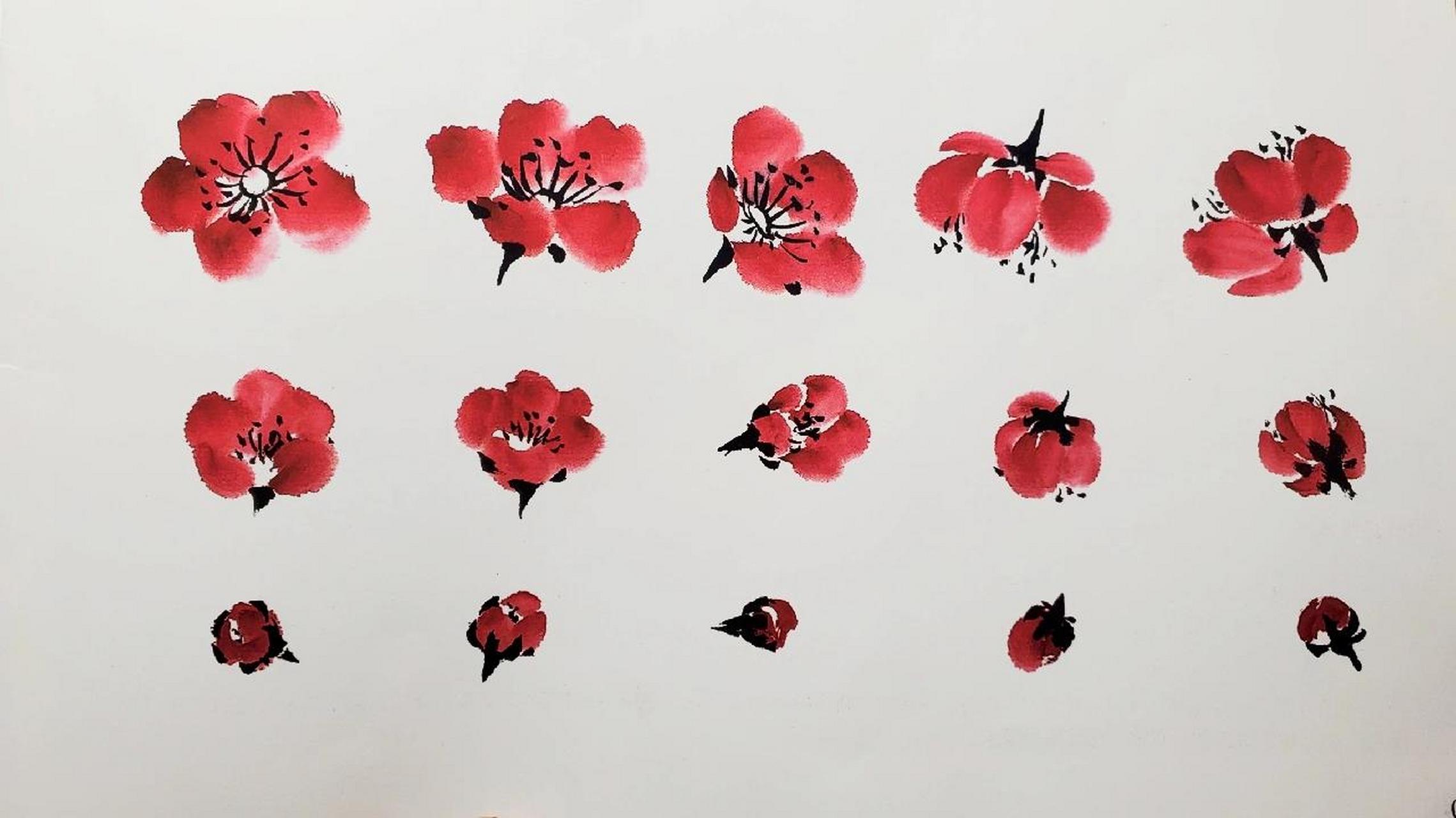 最详细的梅花形态图,值得你收藏 自然界的梅花有四瓣,五瓣,六瓣和复瓣