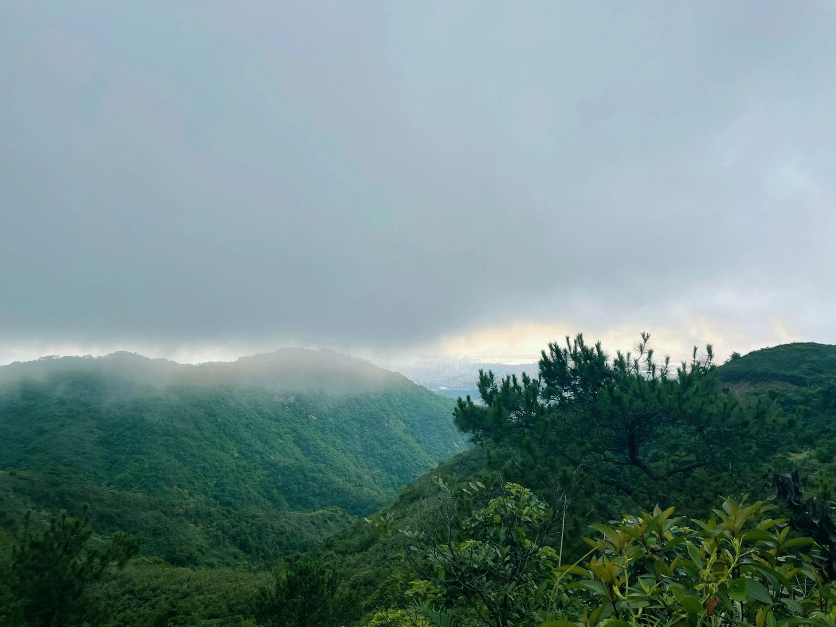 佛山高明-茶山 78野路很平缓,很适合小白选为首发路线 78野爬七