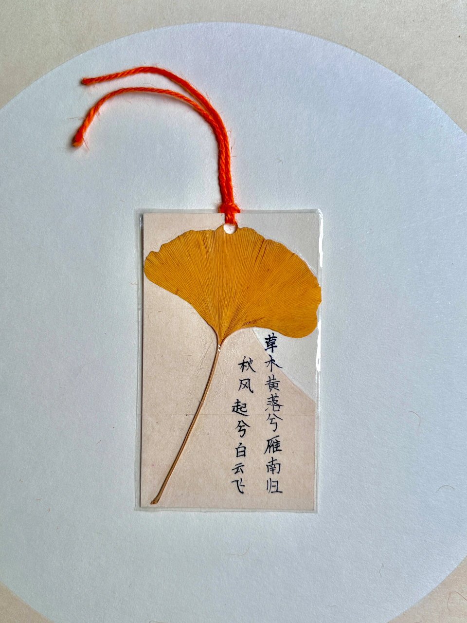 捡几片落叶一起来制作好看的书签吧94