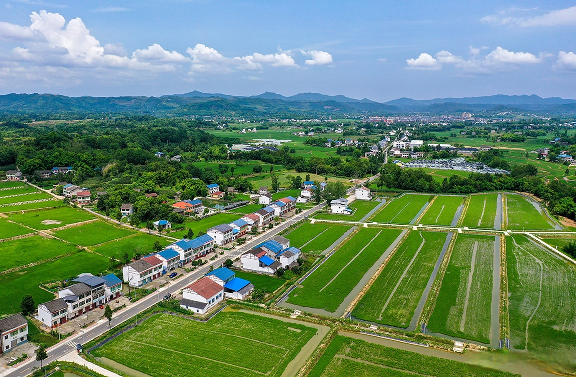 6月24日,俯瞰广安市广安区花桥镇乡村大地,稻田,民居,道路及远山在