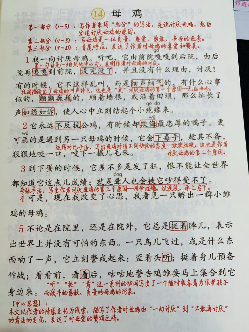 部编版四年级下册语文课堂笔记 14 母鸡 15 白鹅 习作:我的动物朋友