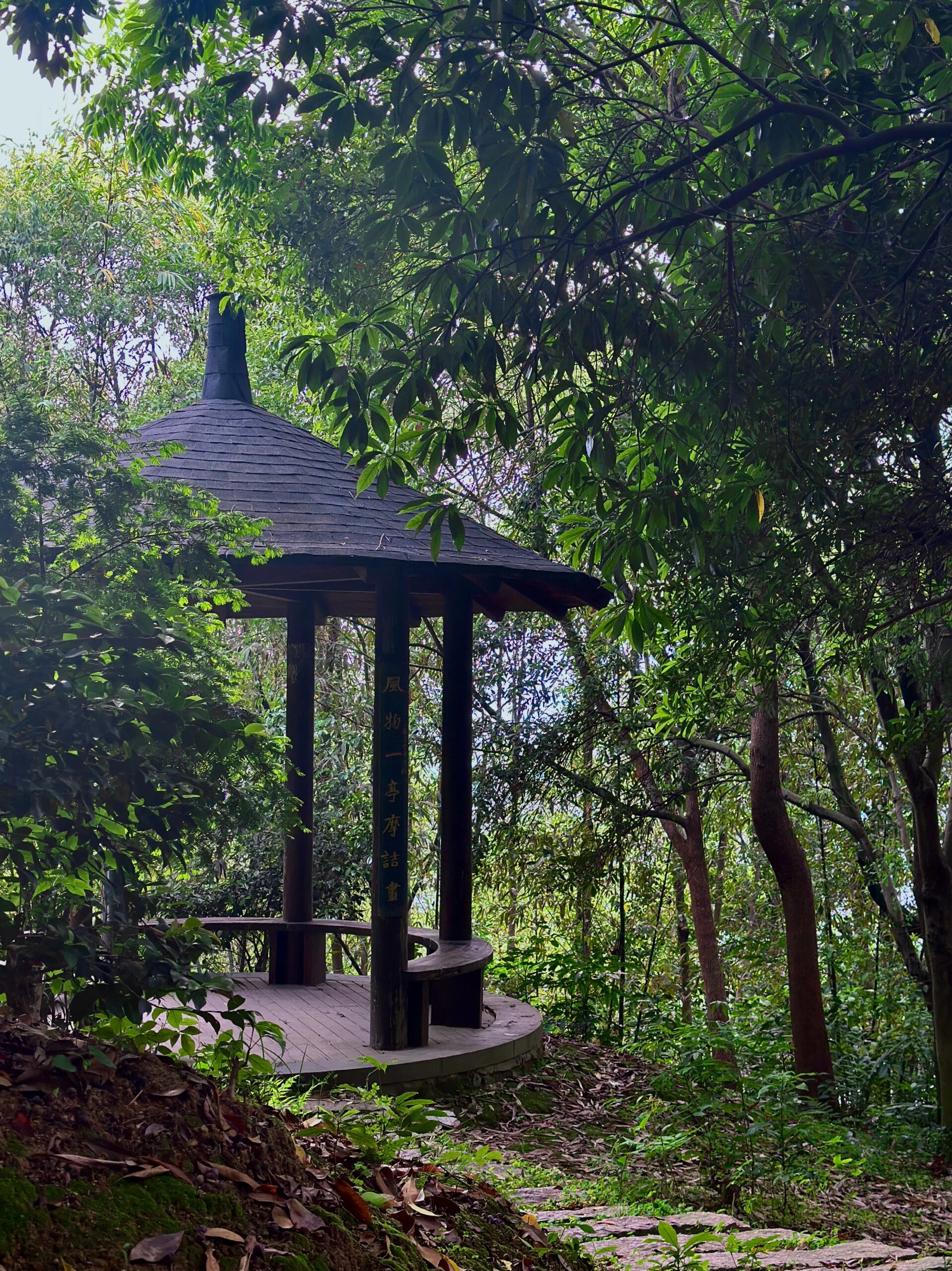 今日份万松山7215