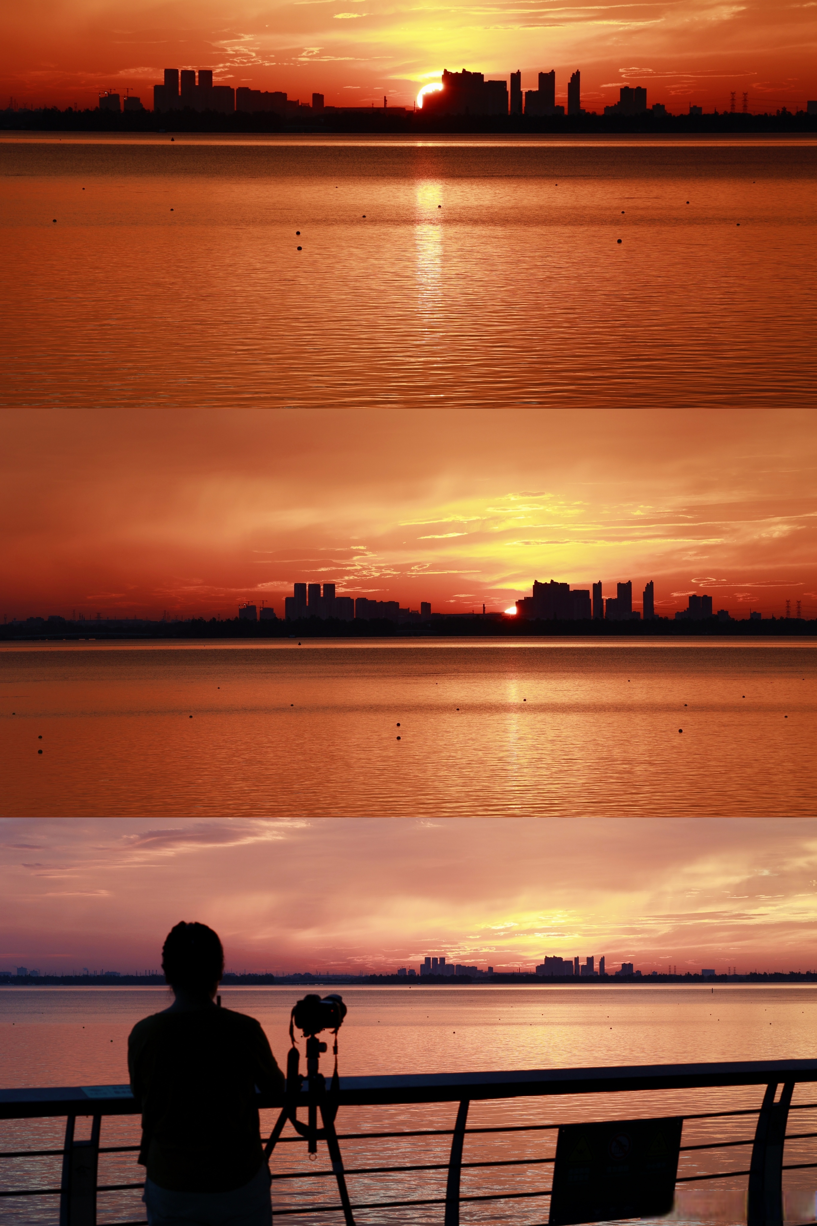 生活匆匆忙忙 别错过美好的日出,日落 朝霞,夕阳 当天边染成红色 "太