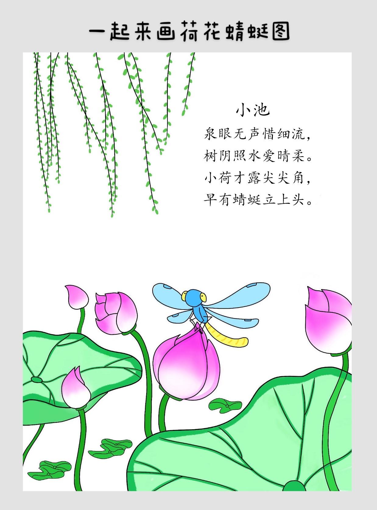 荷花蜻蜓图 儿童画图片