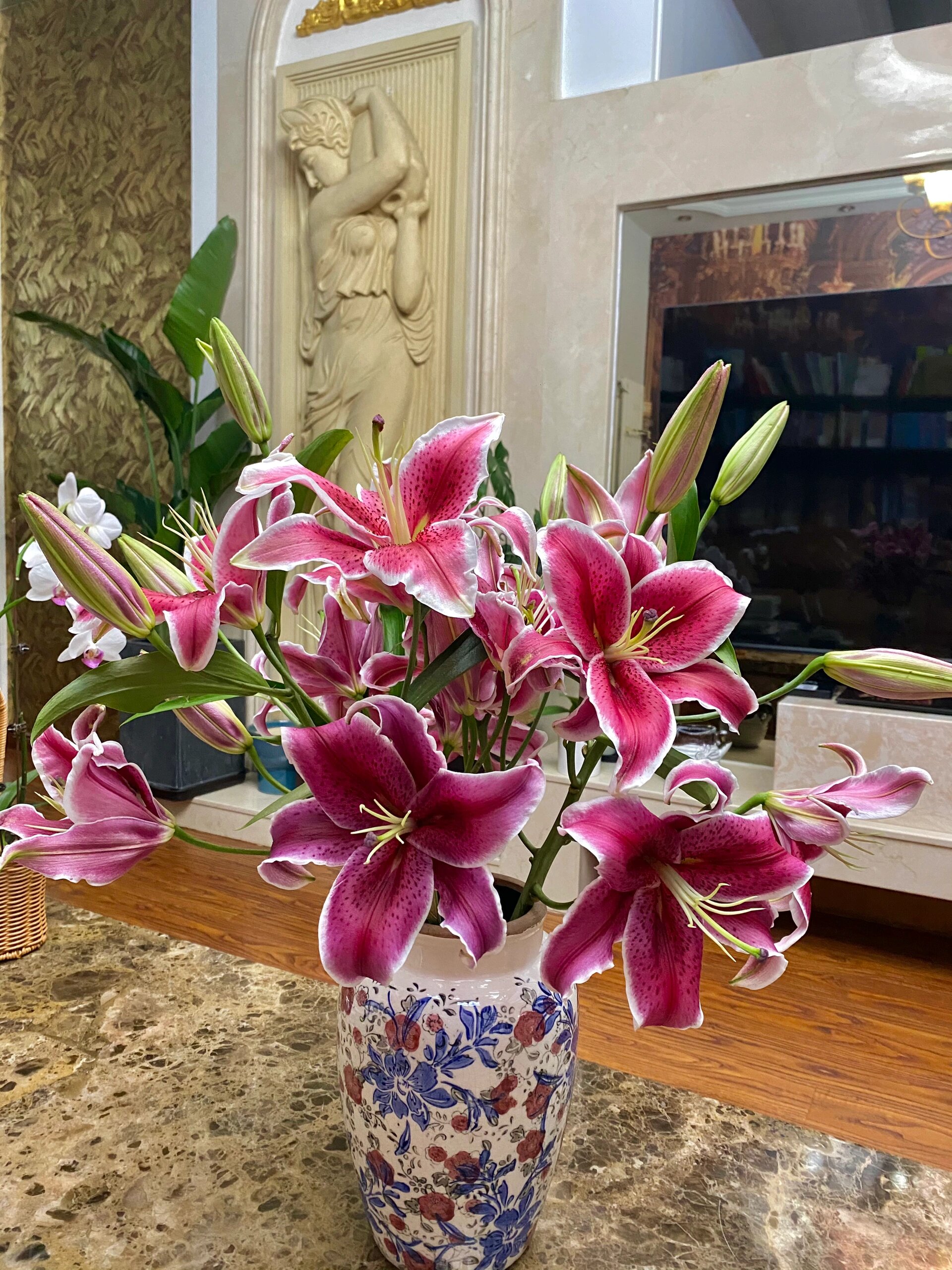 卡瓦娜(黑美人百合) 94黑美人百合·卡瓦娜 卡瓦娜百合颜色呈朱红色