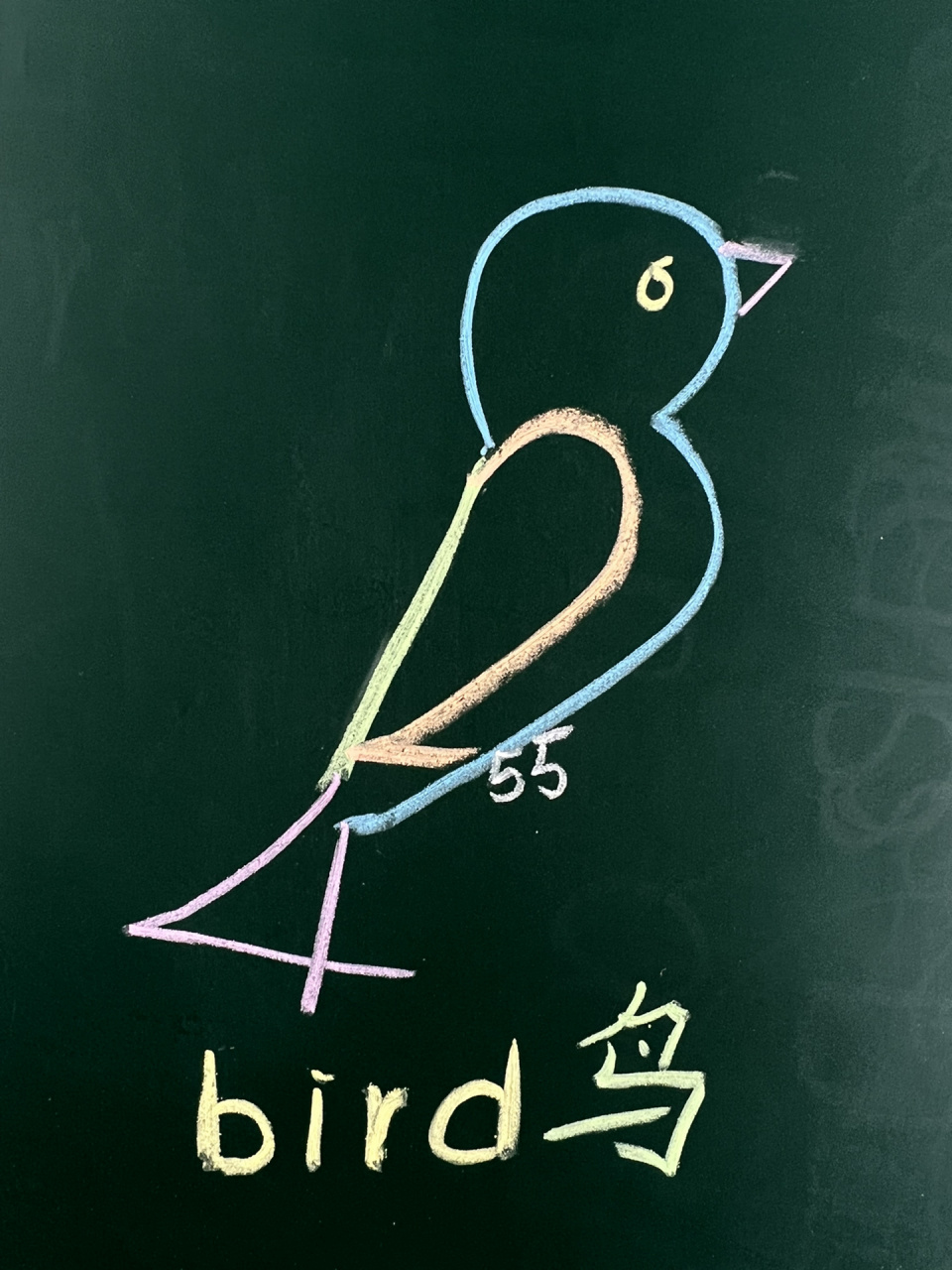 数字鸟怎么画图片
